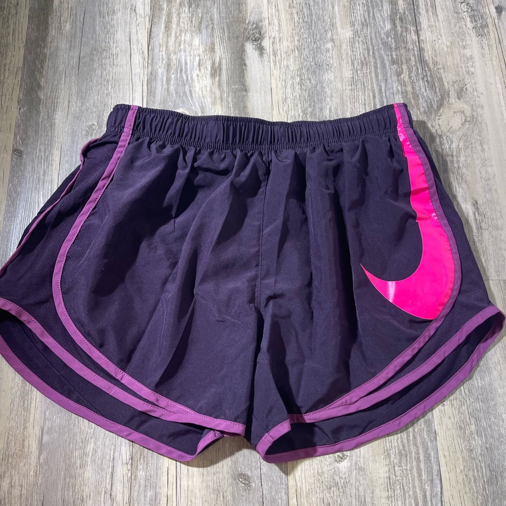 Nike Shorts (Large)